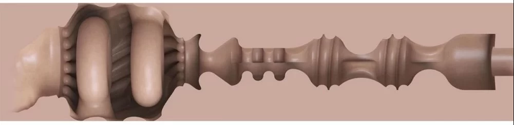 Cấu trúc lõi âm đạo silicone bên trong