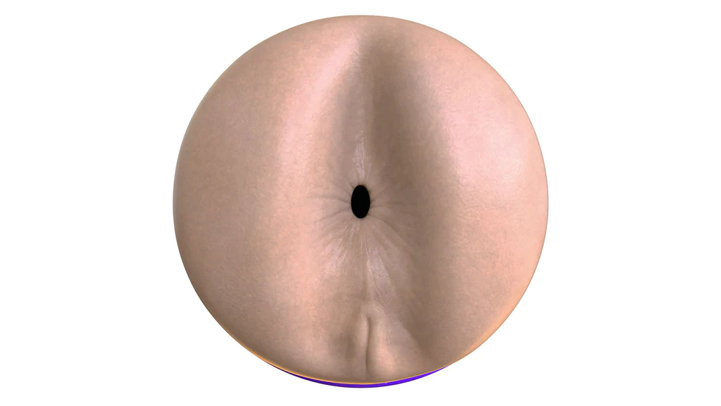 Thiết kế mô phỏng hậu môn