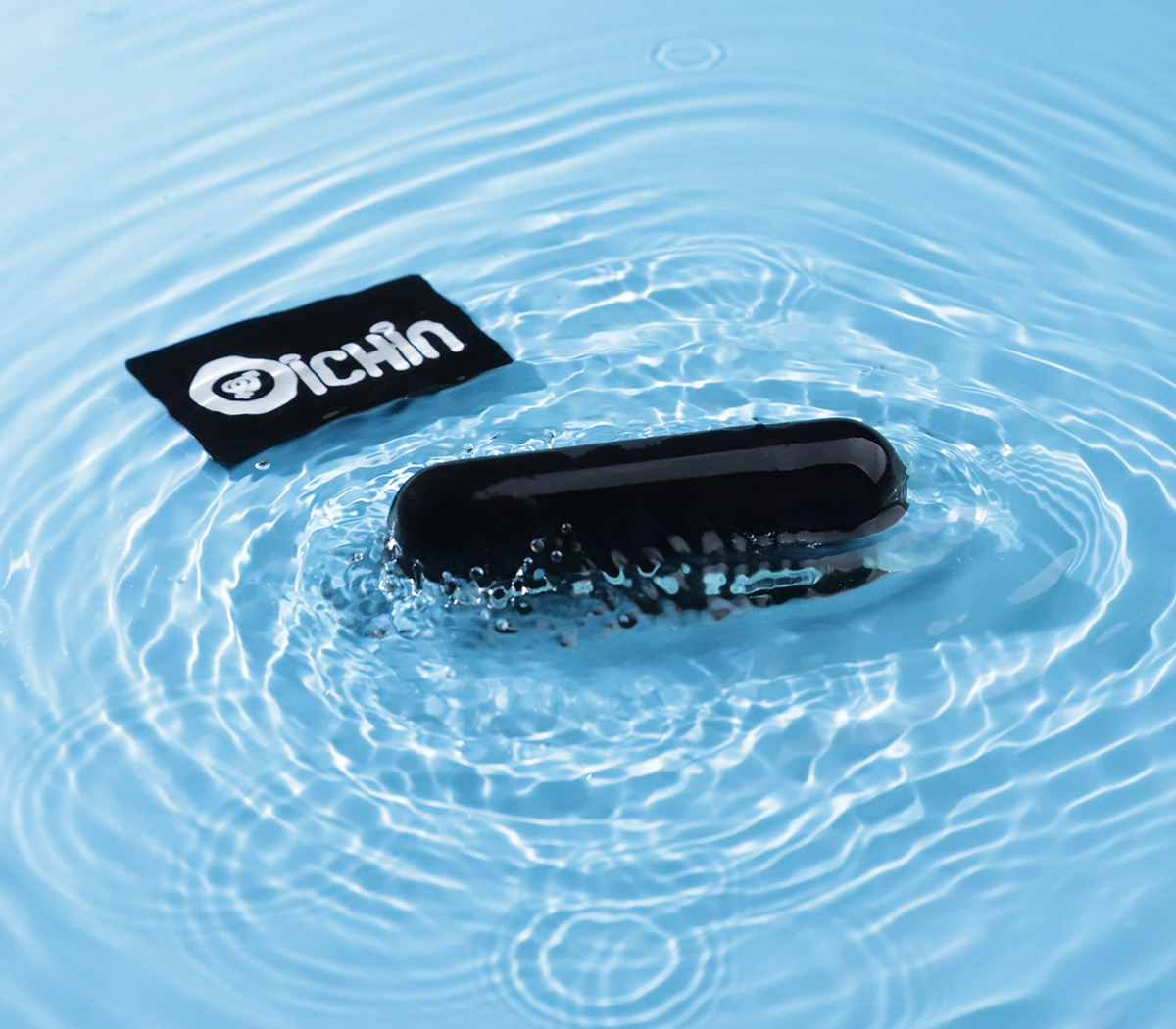 Rung đa dạng trên nước