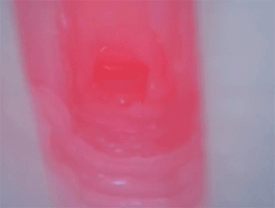 Bên trong âm đạo Uterus Hard cực kỳ chân thật