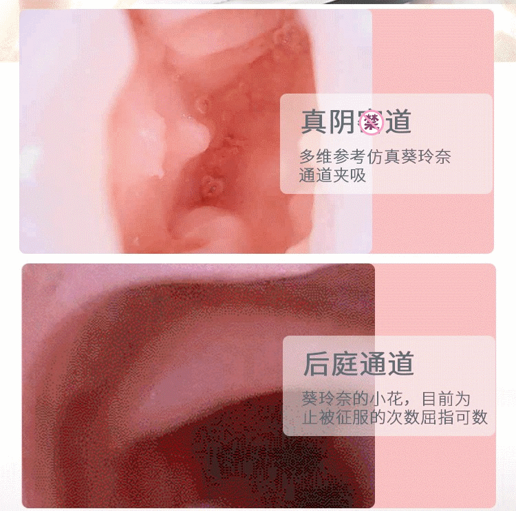 Thiết kế 2 lỗ âm đạo, hậu môn chân thực