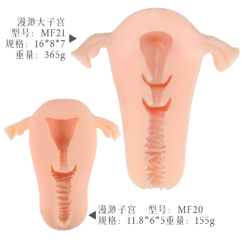 Cấu tạo bên trong 2 phiên bản của bím giả Manmiao Real Uterus