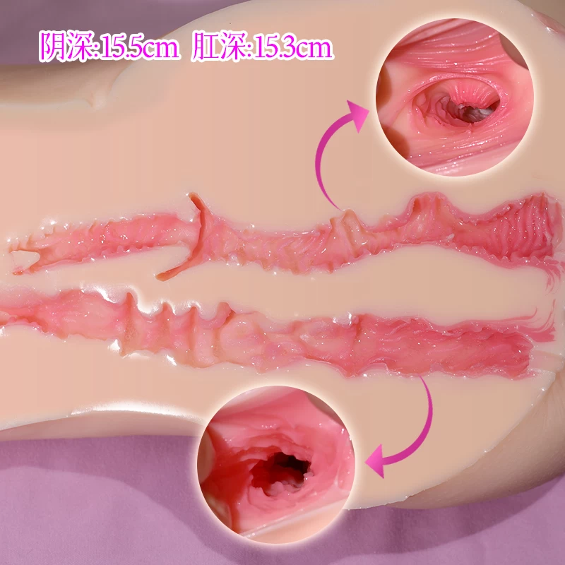 2 kết cấu lõi âm đạo và hậu môn