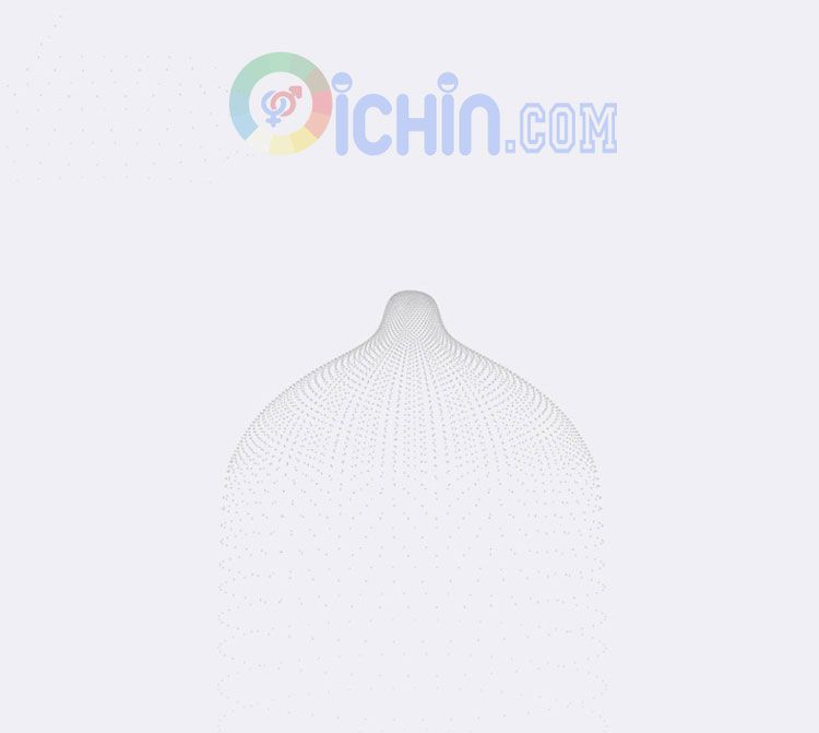 Okamoto Skinless Skin Purity 10 cái