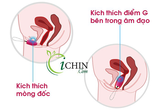  Trứng rung không dây Svakom Elva thông minh tự động