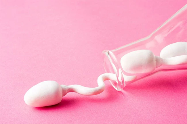 Tăng chất lượng tinh trùng