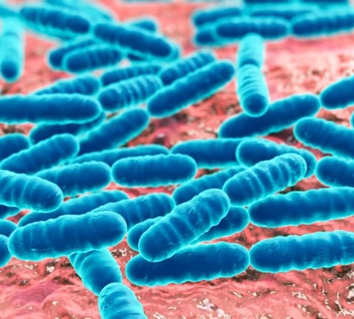 Các yếu tố ảnh hưởng đến mùi của cô bé