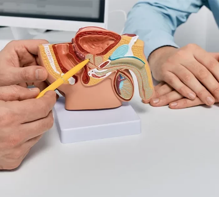 Tuyến tiền liệt - Điểm “G” của phái mạnh