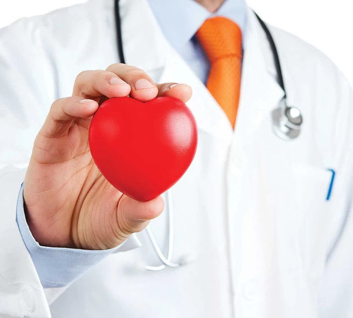 Cải thiện sức khỏe tim mạch và tuần hoàn máu