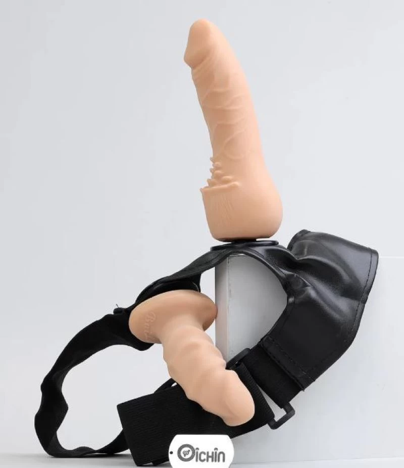 Cấu tạo chung của dương vật 2 đầu