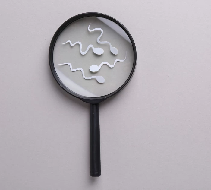 tác dụng của tinh trùng