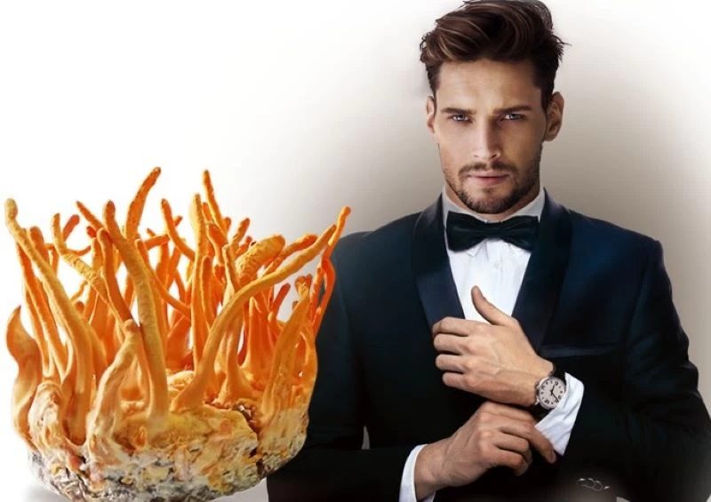 Quảng cáo đông trùng hạ thảo cho nam giới