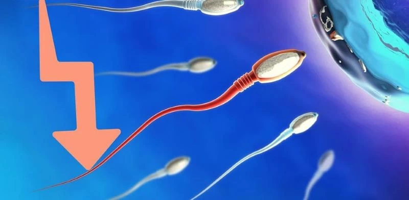 Khả năng thụ thai giảm đáng kể khi nam giới uống bia rượu thường xuyên