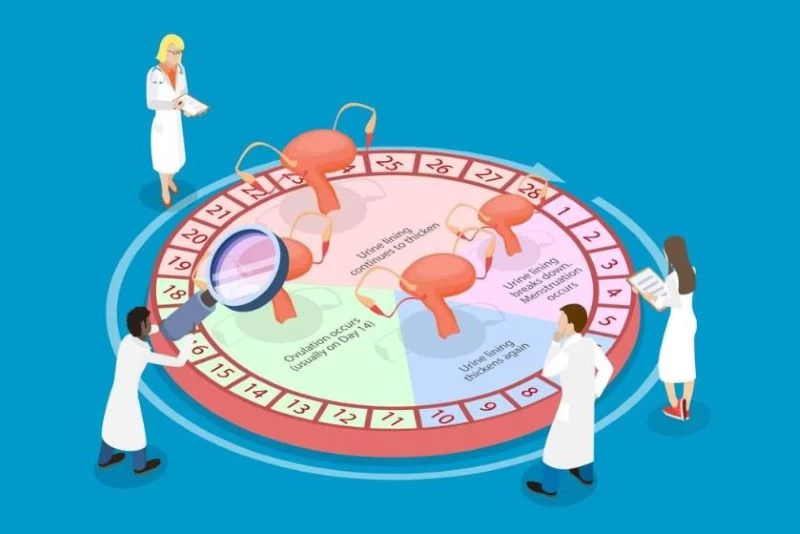 estrogen, giảm hoocmon nữ