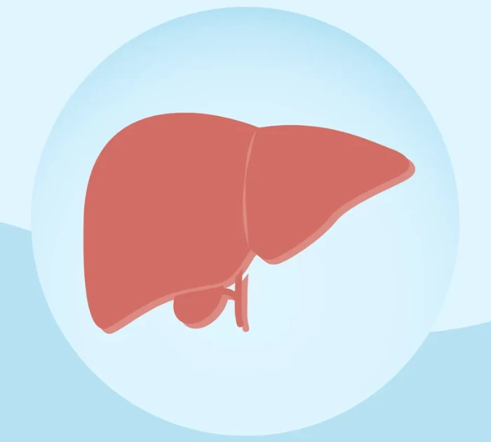 Viêm gan có lây nhiễm qua tình dục