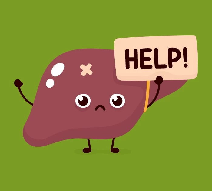 Hình ảnh gan bị xơ hóa và ung thư gan do viêm gan B, C mãn tính