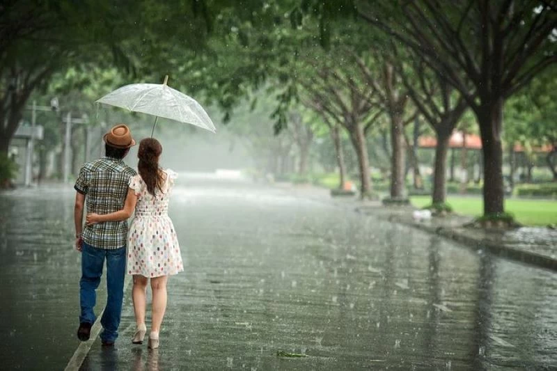 Chàng trai che ô cho cô gái dưới cơn mưa nhẹ