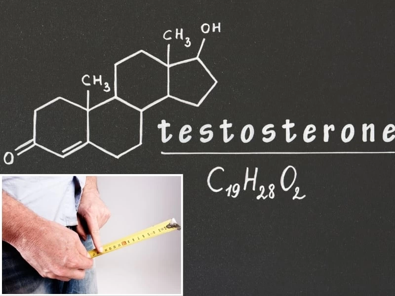 Testosterone ảnh hưởng đến phát triển cơ thể nam giới
