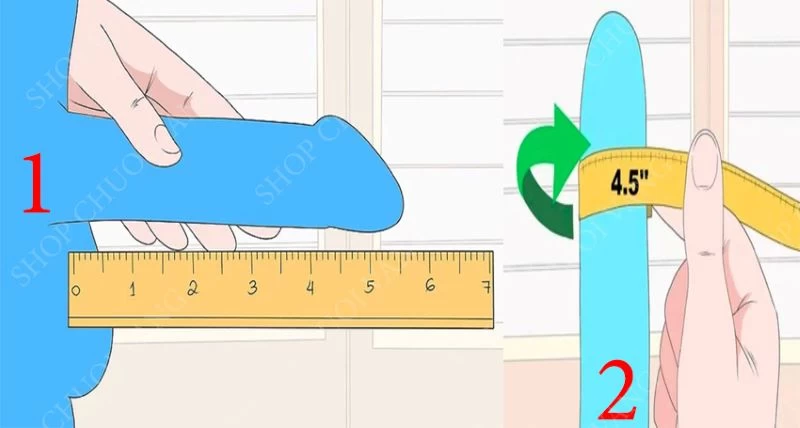 Đo chiều dài kích thước trung bình của dương vật