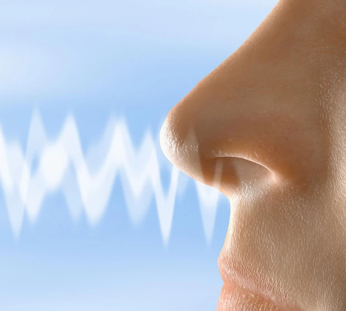 khứu giác kích thích tình dục