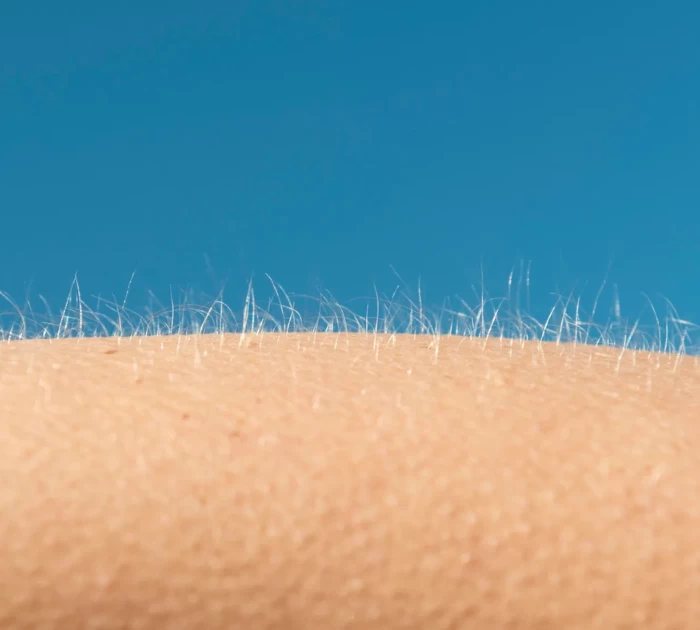 nổi da gà khi lên đỉnh