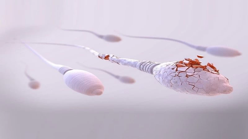 Dùng gel bôi trơn kém không an toàn ảnh hưởng đến chất lượng của tinh trùng