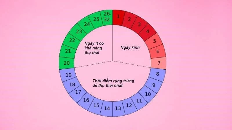 Quan hệ tình dục vào thời điểm trứng rụng dễ thụ thai hơn