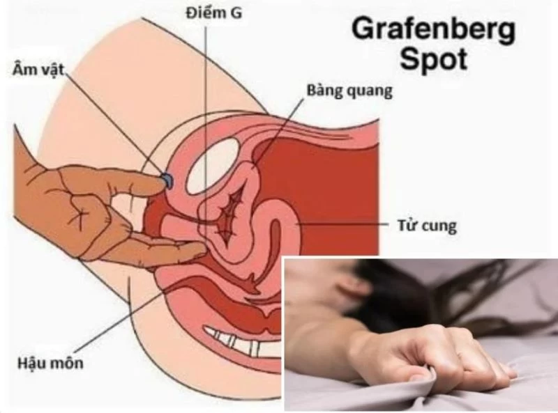 Cơ chế phản ứng sinh lý tự động trước những kích thích ở vùng nhạy cảm