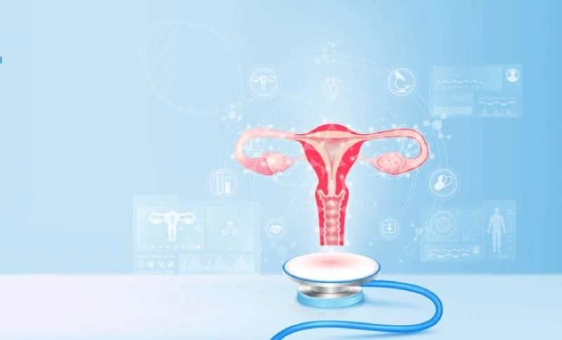 Nội tiết tố ảnh hưởng đến cảm nhận khoái cảm