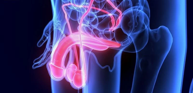 Rối loạn cương dương là dấu hiệu cảnh báo nội tiết tố nam rối loạn