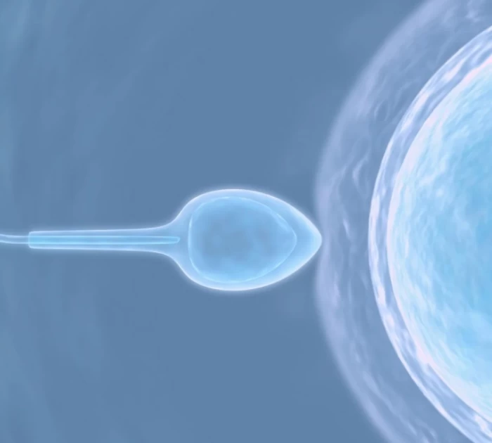 Kẽm giúp cải thiện sức khỏe tinh trùng và khả năng sinh sản