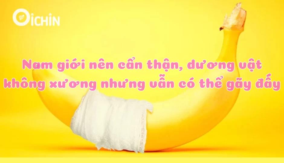 Nam giới nên cẩn thận, dương vật không xương nhưng vẫn có thể gãy đấy