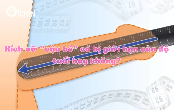 dương vật phát triển đến khi nào