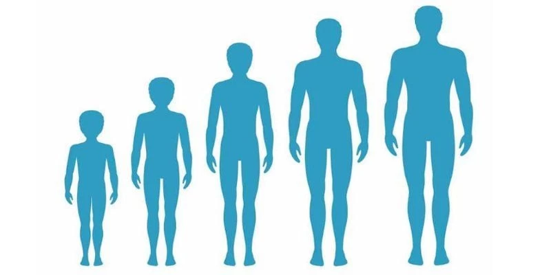 Mốc phát triển sinh học ở nam giới dừng lại từ 18 – 21 tuổi