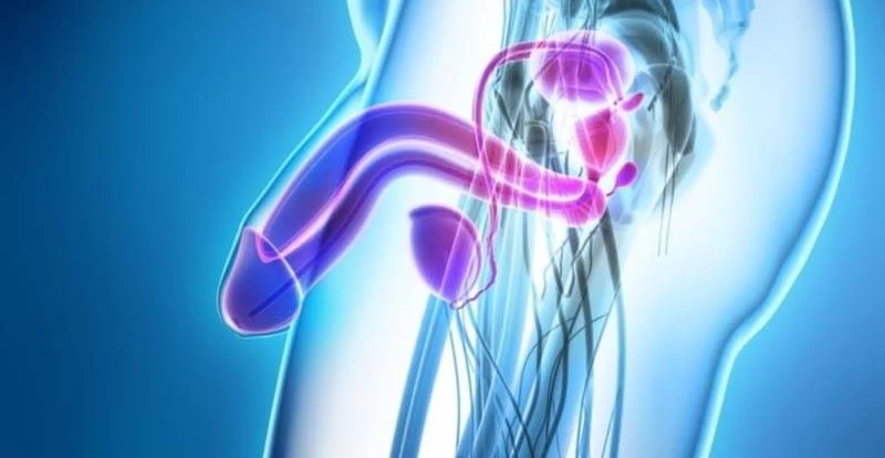 Tuổi tác ảnh hưởng độ cứng và tuần hoàn máu