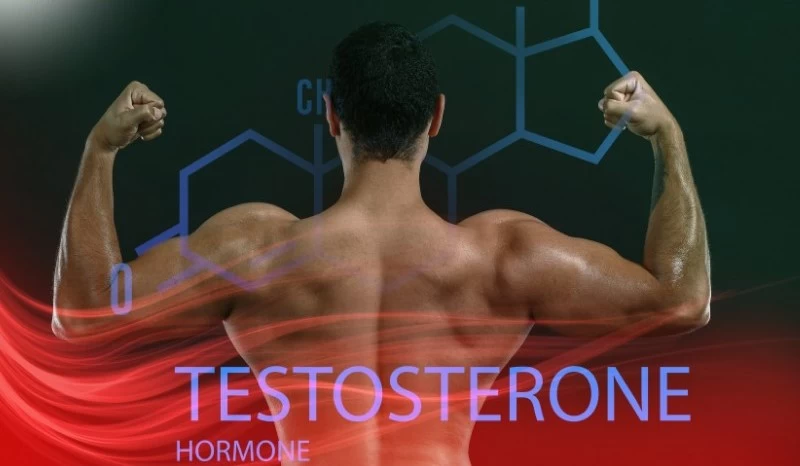 Testosterone ảnh hưởng ham muốn nam giới