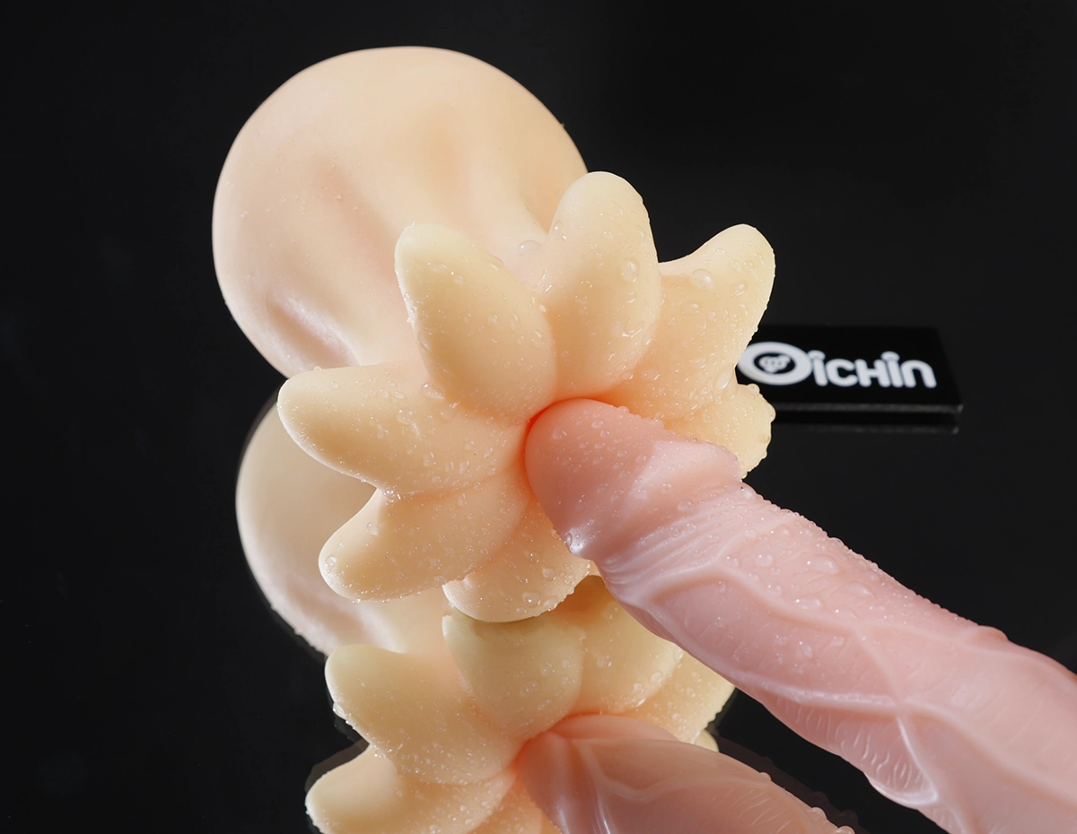 Cấu trúc mềm dễ cho vào bên trông