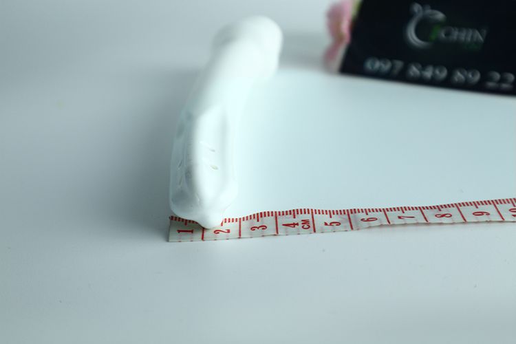 Đường kính đầu ống vệ sinh