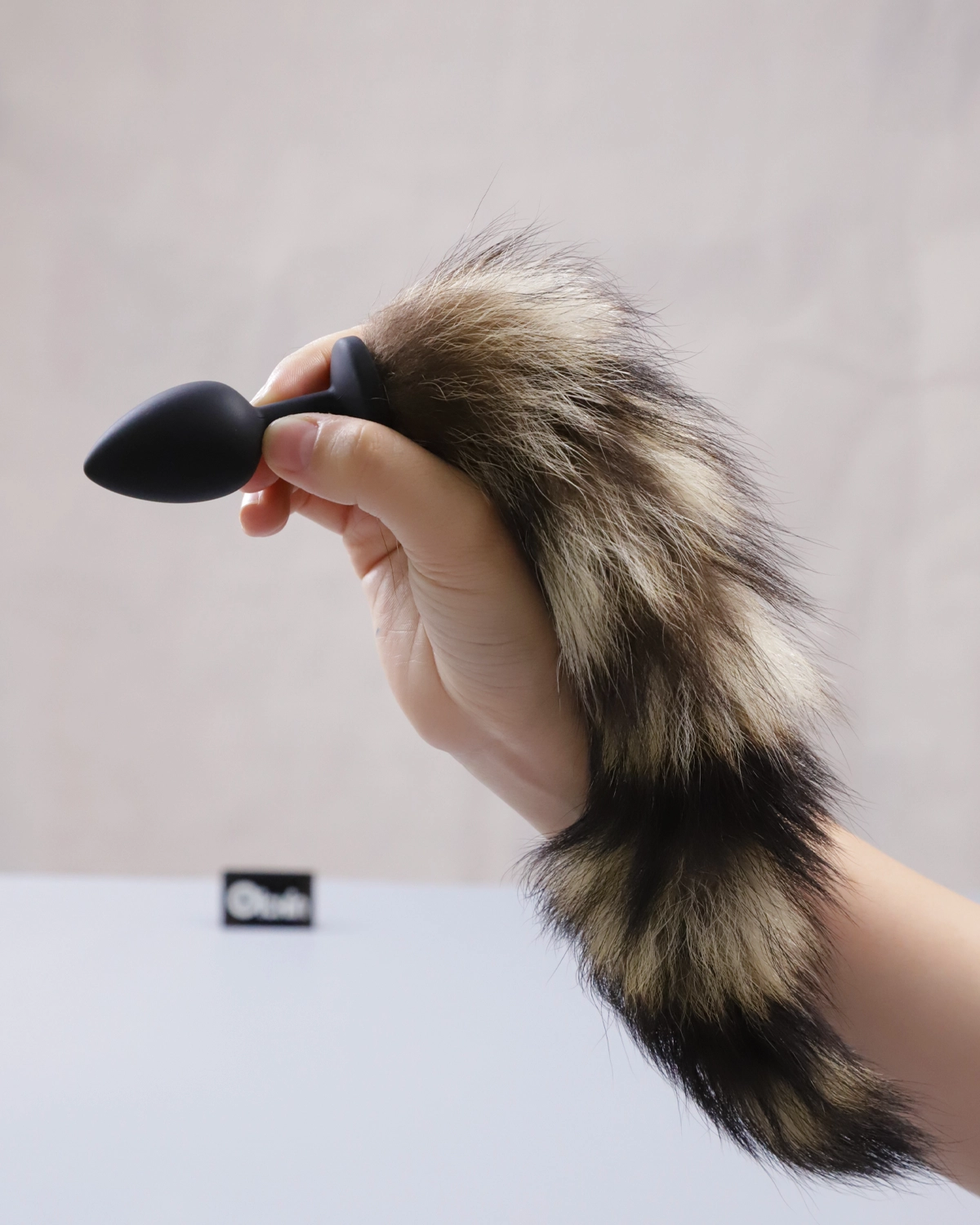 Biến thể AS79S của Chisa Hi Basic Foxy