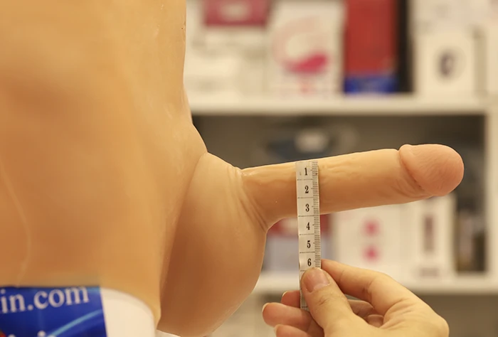 Đường kính dương vật