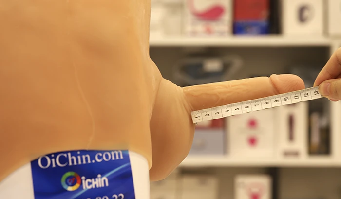 Chiều dài của dương vật