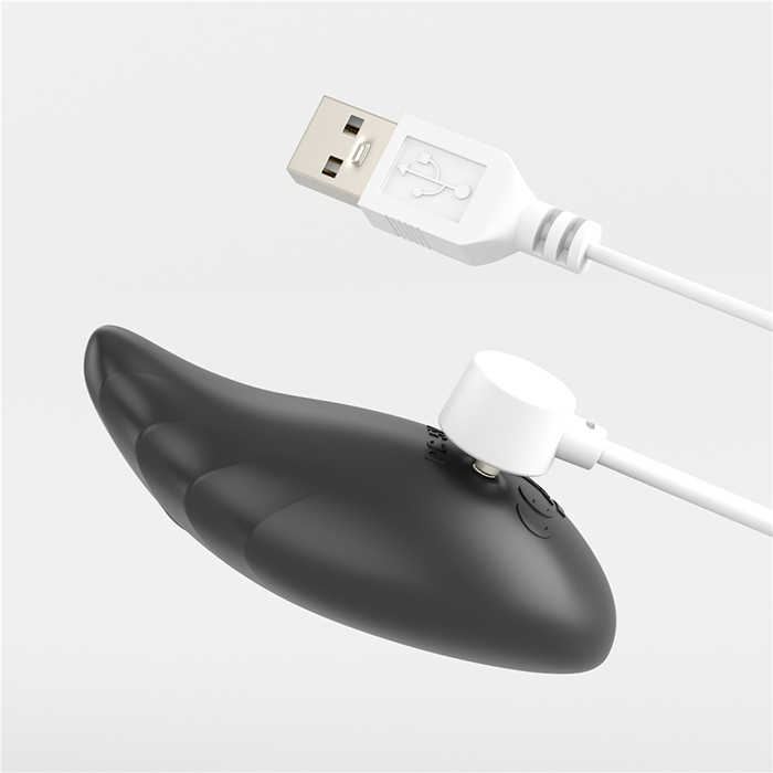 Đầu sạc của Lovetoy Platinum Rotator