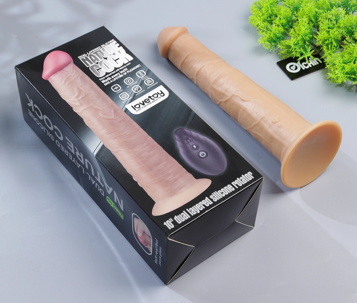 Vỏ hộp cu giả 10 inch