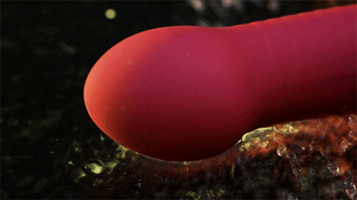 Khả năng chống nước IPX5