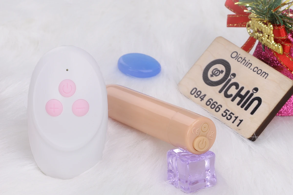 Cục rung và bộ điều khiển từ xa của cu giả Yunman mini