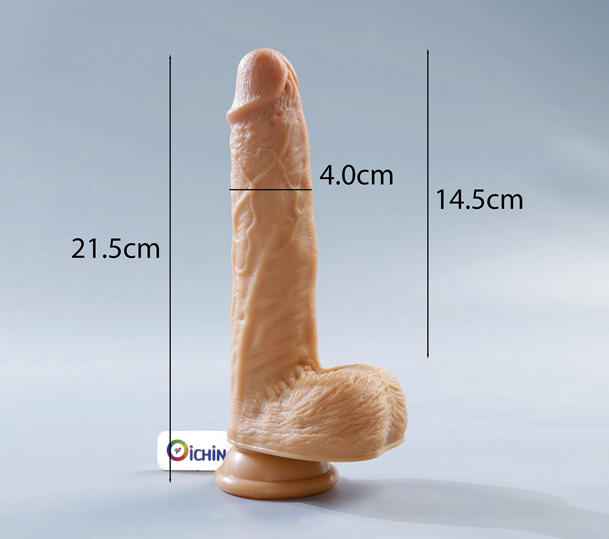 Ảnh thông số kích thước của Dương vật giả YEAIN G Point