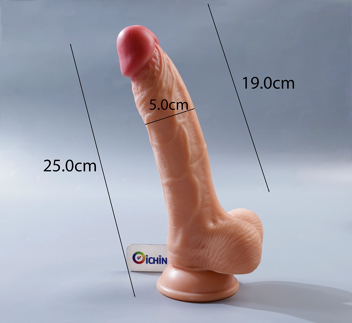 Ảnh thông số kích thước của Nature Cock 10 inch Dual Layered
