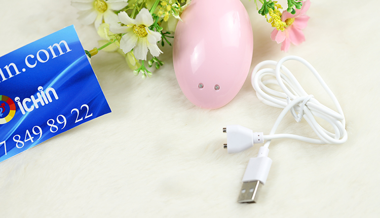 Dây sạc từ tính