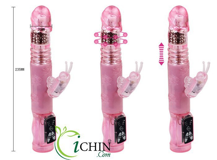 Butterfly Crazy Rabbit