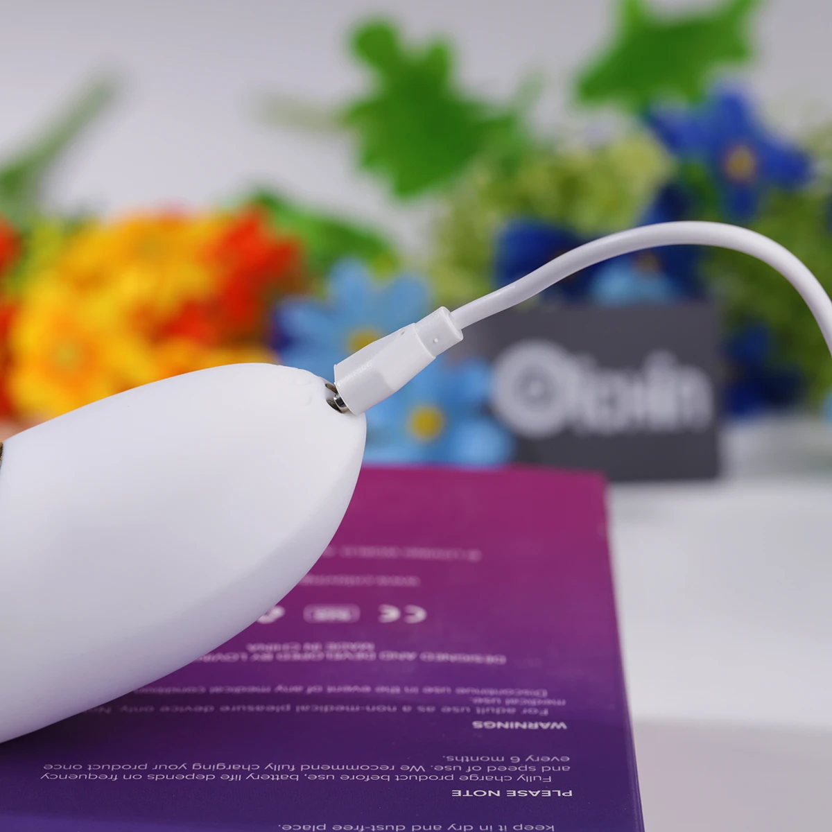 Cắm sạc từ tính